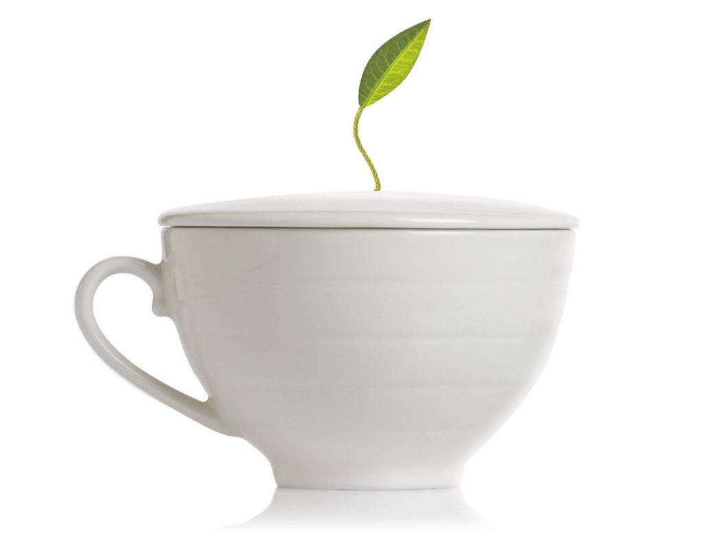 2726 Cafe Cup Bone White