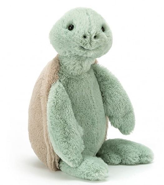 3753 Small Turtle Bashful